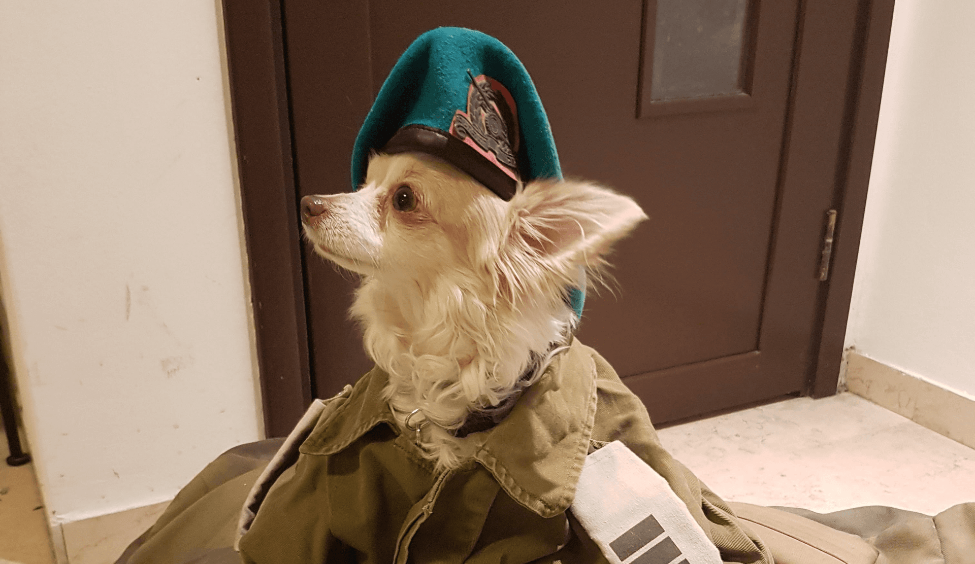 They don't call it intelligence for nothing